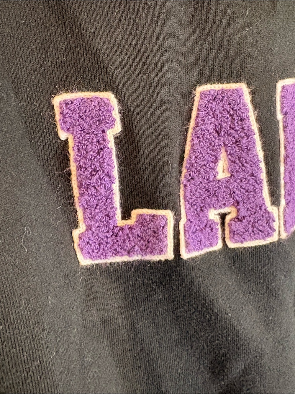 LA Lakers Black Pullover Hoodie - Picture 6 of 14